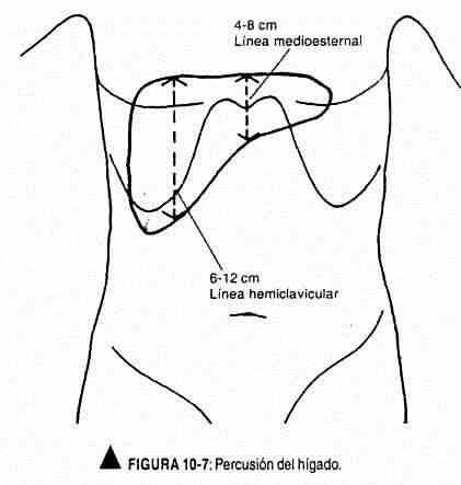 exabdomen07