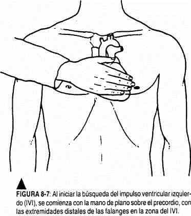 excardio07